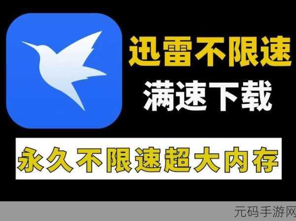 轻松破解！迅雷下载文件自动删除难题全攻略