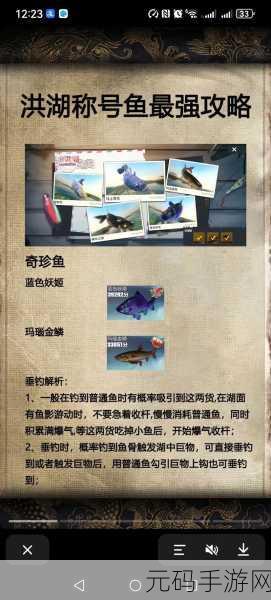 欢乐钓鱼大师,鱼骨头速刷技巧全揭秘