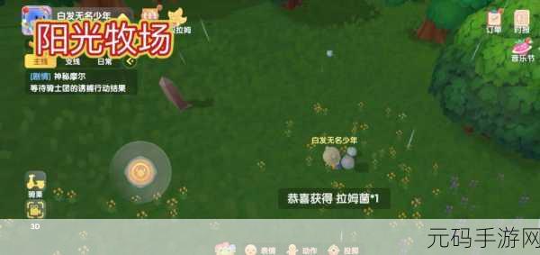 摩尔庄园手游大头菇获取全攻略,分布位置与收集技巧大揭秘