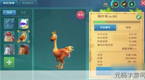 手游资讯,探索创造与魔法中陆行鸟羽毛的神奇新用途