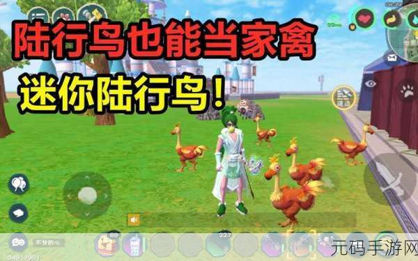 手游资讯,探索创造与魔法中陆行鸟羽毛的神奇新用途