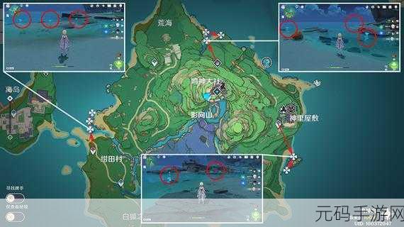 原神手游资讯,全面解析海灵芝采集位置