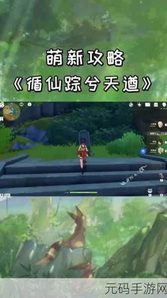 原神循仙踪兮天遒任务通关全攻略