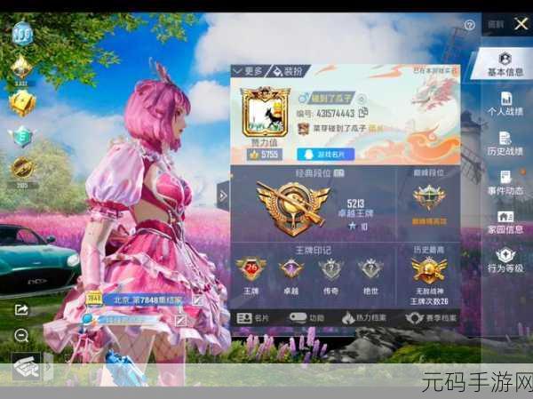 手游资讯指令,探秘和平精英神秘元素深度解析与版本更新报道
