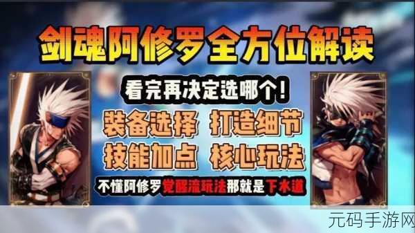 DNF手游阿修罗与剑魂,两大职业的深度对比与选择建议
