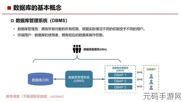 数据库 values 与数据类型的深度关联探秘