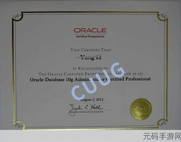 Oracle 数据库 OCP 证书含金量深度剖析