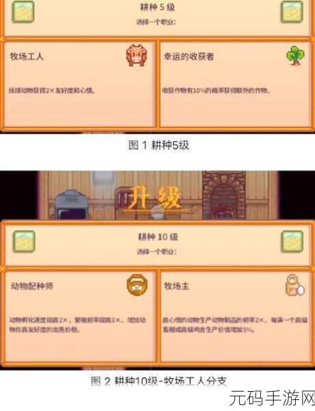 星露谷物语,揭秘财宝箱的多样用途与获取技巧