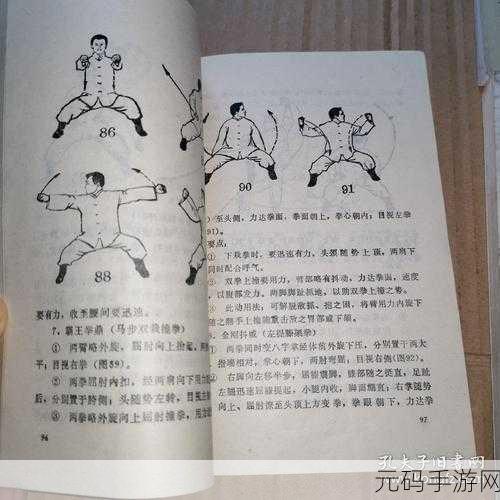 侠隐阁纯拳修技能搭配深度探索,打造最强拳法组合