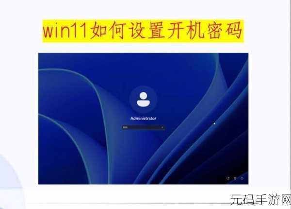轻松搞定!Win11 开机密码设置全攻略