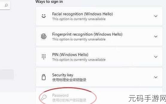 轻松搞定!Win11 开机密码设置全攻略