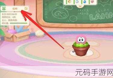 摩尔庄园手游资讯,可爱拉姆套装获取攻略大揭秘
