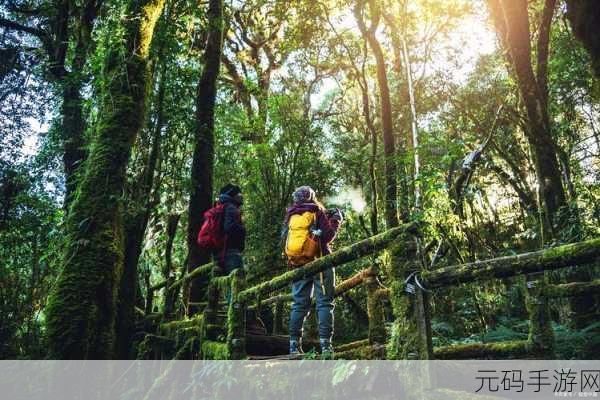 手游资讯,雨林探险新纪元——雨林地载具震撼登场