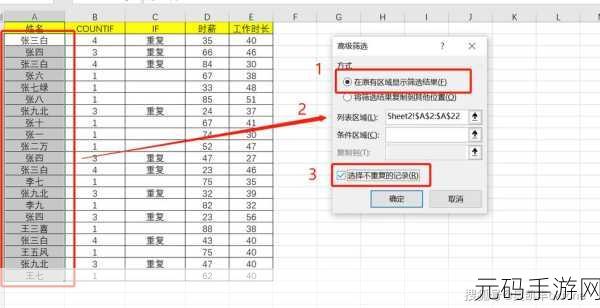 掌握 Excel 复制筛选内容的神奇技巧