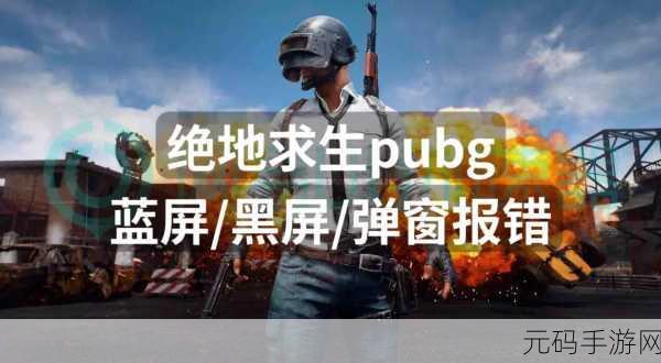 PUBG 运行就蓝屏?终极解决秘籍在此!