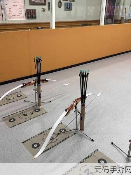 狩猎时刻射箭活动攻略，精准命中，夺冠秘籍大公开