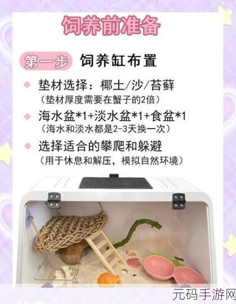 食之契约寄居蟹,探寻堕神寄居蟹的强大技能和玩法深度解析