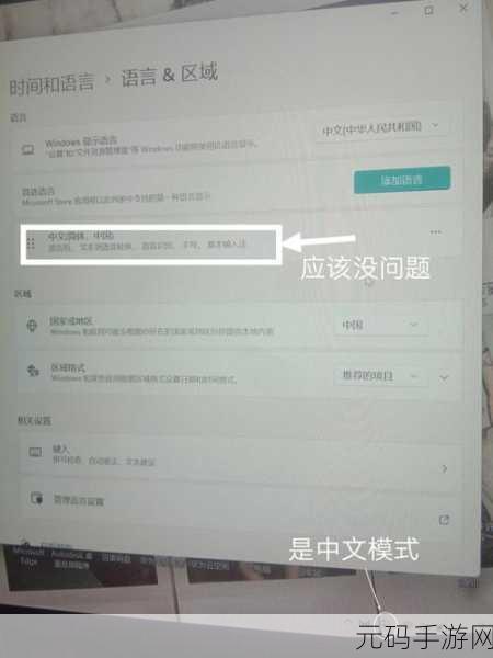Win11 系统中 PIN 删除键为何呈灰色无法操作?