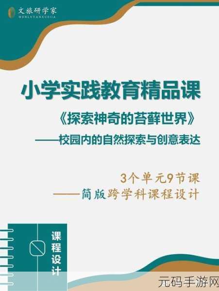 探索 Word 的神奇功能世界