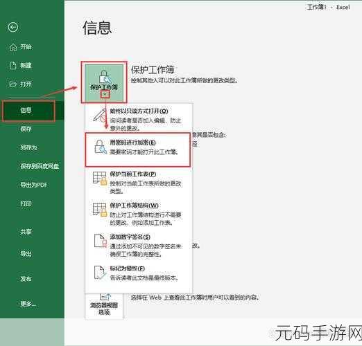 掌握 Excel 文件加密秘籍,保护重要数据