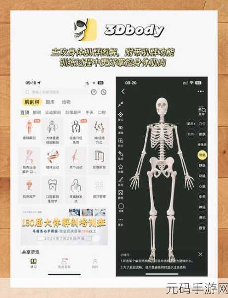 探索卡马托健身房,一款独特软件的全方位解析