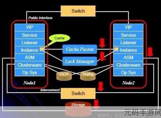 探索 Oracle 全连接的多元应用场景