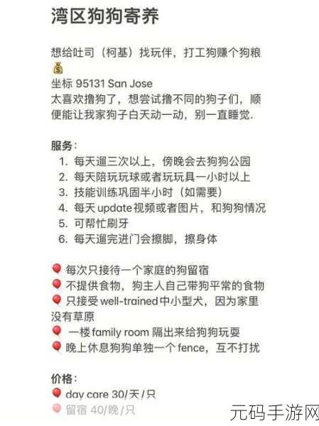 捞月狗 APP 陪玩秘籍，轻松找到理想玩伴的详细攻略
