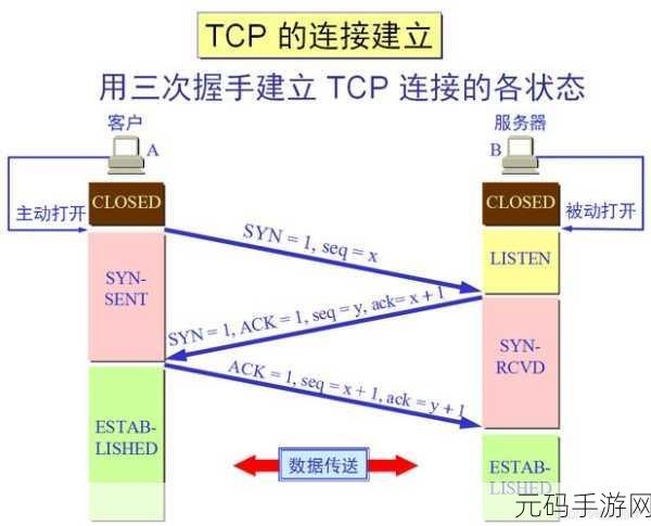 探秘计算机网络,服务器端与客户端的关键差异