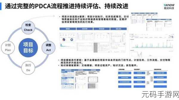 突破 C软件项目管理困境,深度解析关键难点