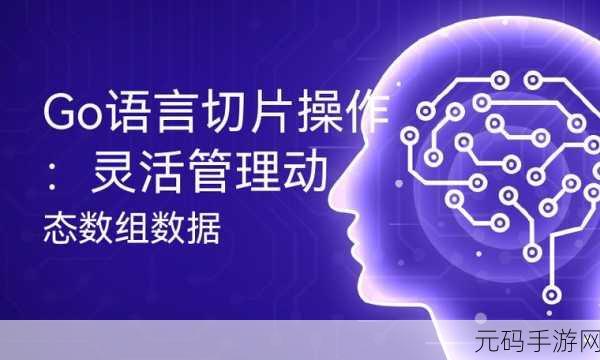 掌握关键技巧,让 Go 语言切片操作实现极致优化