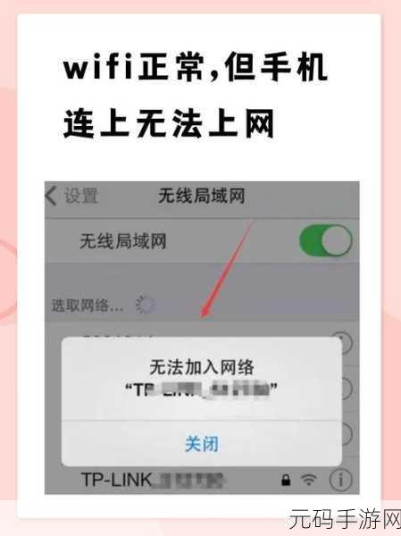 解决 TP 路由器连接却无法上网的难题