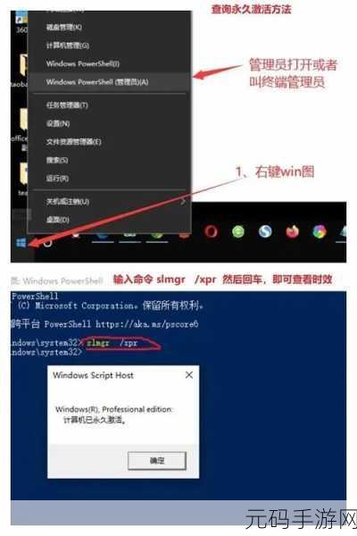 Win11 更新后右键部分英文显示?两大妙法帮您解决!