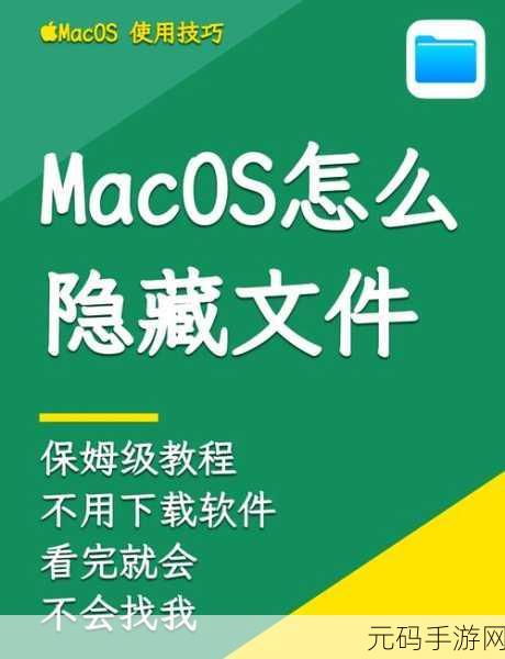 轻松掌握!Win10/Win7 显示隐藏文件与文件夹秘籍