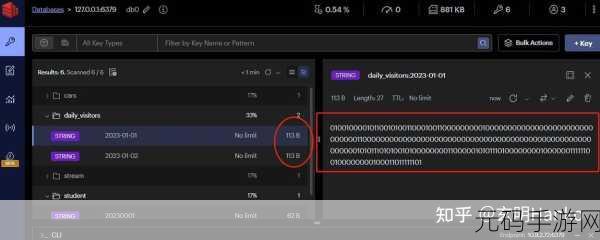 探索 Redis BloomFilter 的多样应用领域
