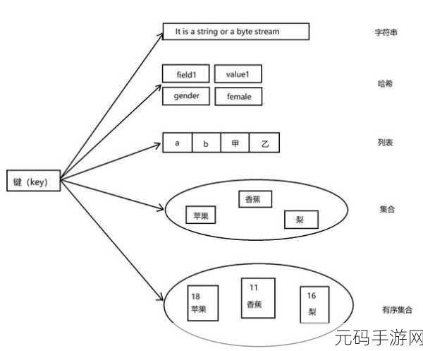 探索 FastAdmin Redis 支持的数据类型奥秘