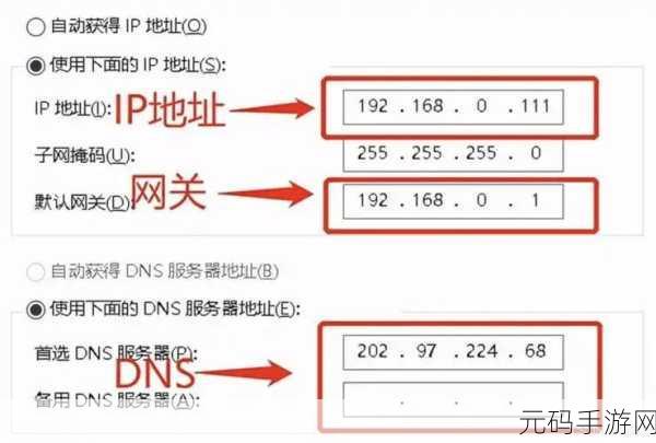 Docker 桥接网络中的 DNS 配置之谜