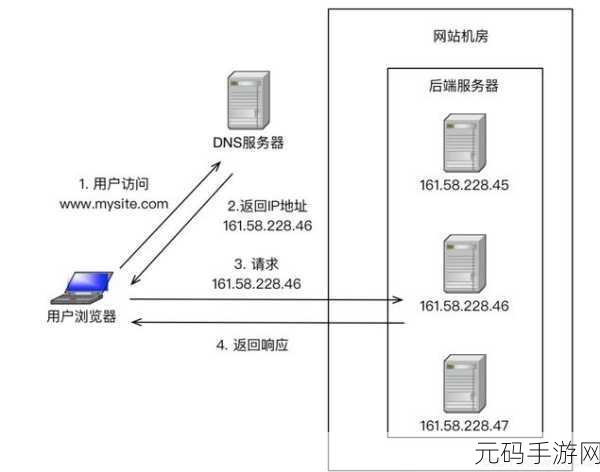 Docker 桥接网络中的 DNS 配置之谜