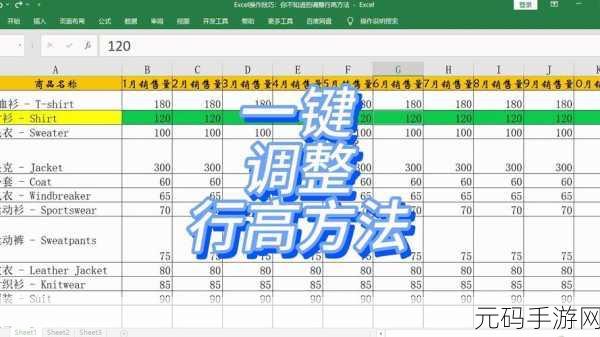 Excel 行高列宽微调秘籍大揭秘