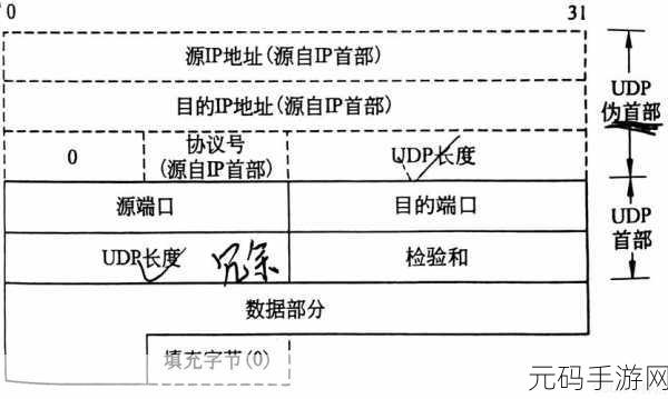 UDP 通信编程秘籍,杜绝数据丢失的关键技巧