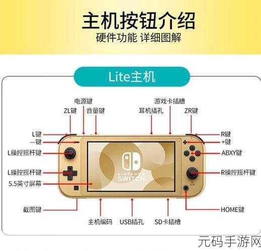 C中 Switch 能否应用于布尔值?深度解析与实战探讨