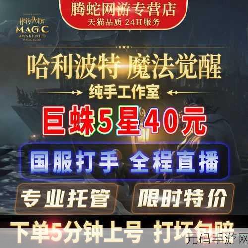 哈利波特,魔法觉醒蜘蛛领地二星攻略详解