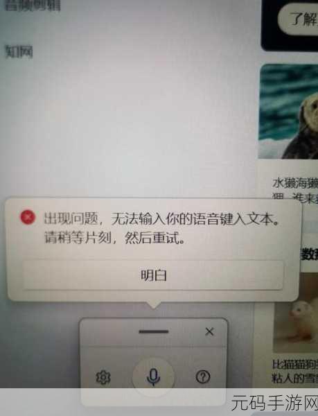 Win11 中文包下载频频失败?这里有解决之道!