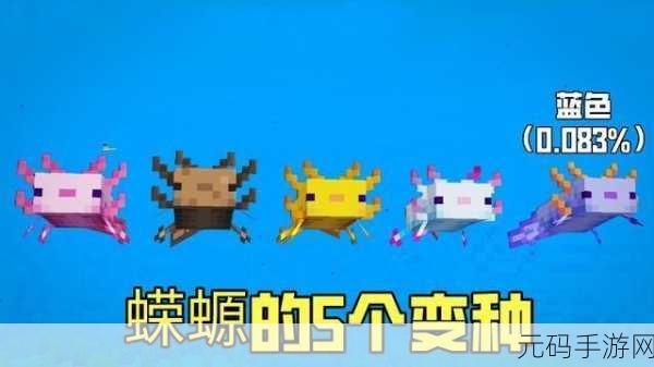 我的世界手游美西螈繁殖攻略全面解析