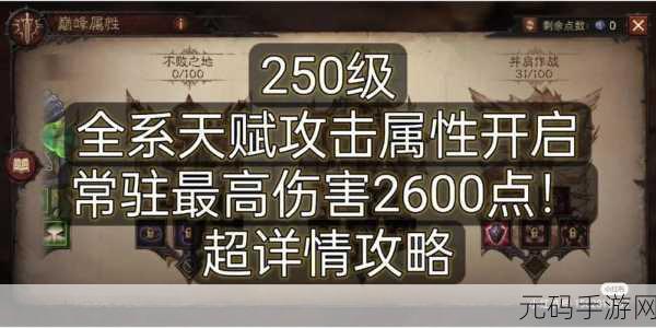 暗黑破坏神,不朽圣教军巅峰等级高效加点策略与资源管理技巧详解
