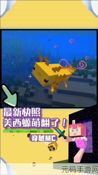 我的世界手游美西螈繁殖全攻略
