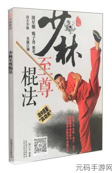少林棍法再现江湖，棍舞江湖，剑网1归来加点秘籍深度解析