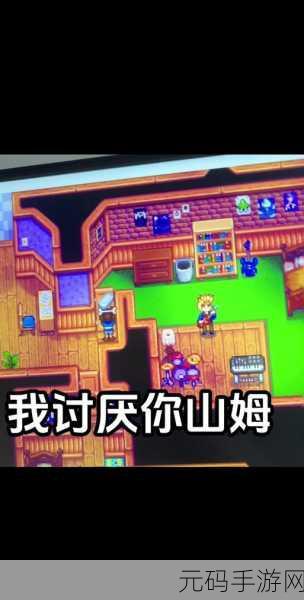 星露谷物语深度揭秘，山姆喜好与资源管理高效策略