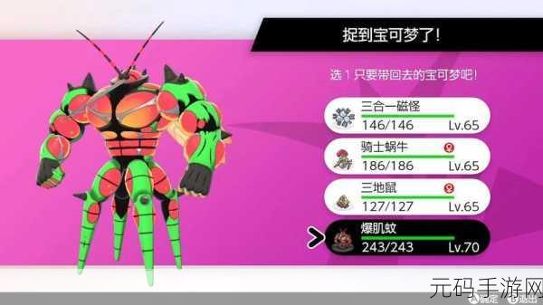 宝可梦大集结新攻略,爆肌蚊热门玩法及最新对战技巧深度解析