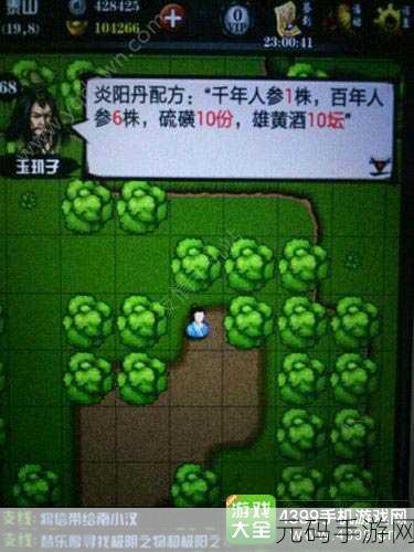 玉玑子在江湖风云录中的手游资讯深度解析