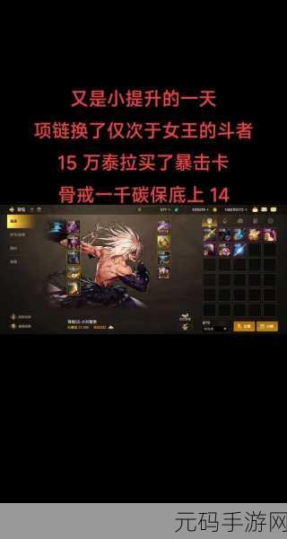 DNF手游辅助流职业揭秘,战场上的隐秘力量引领新版本潮流